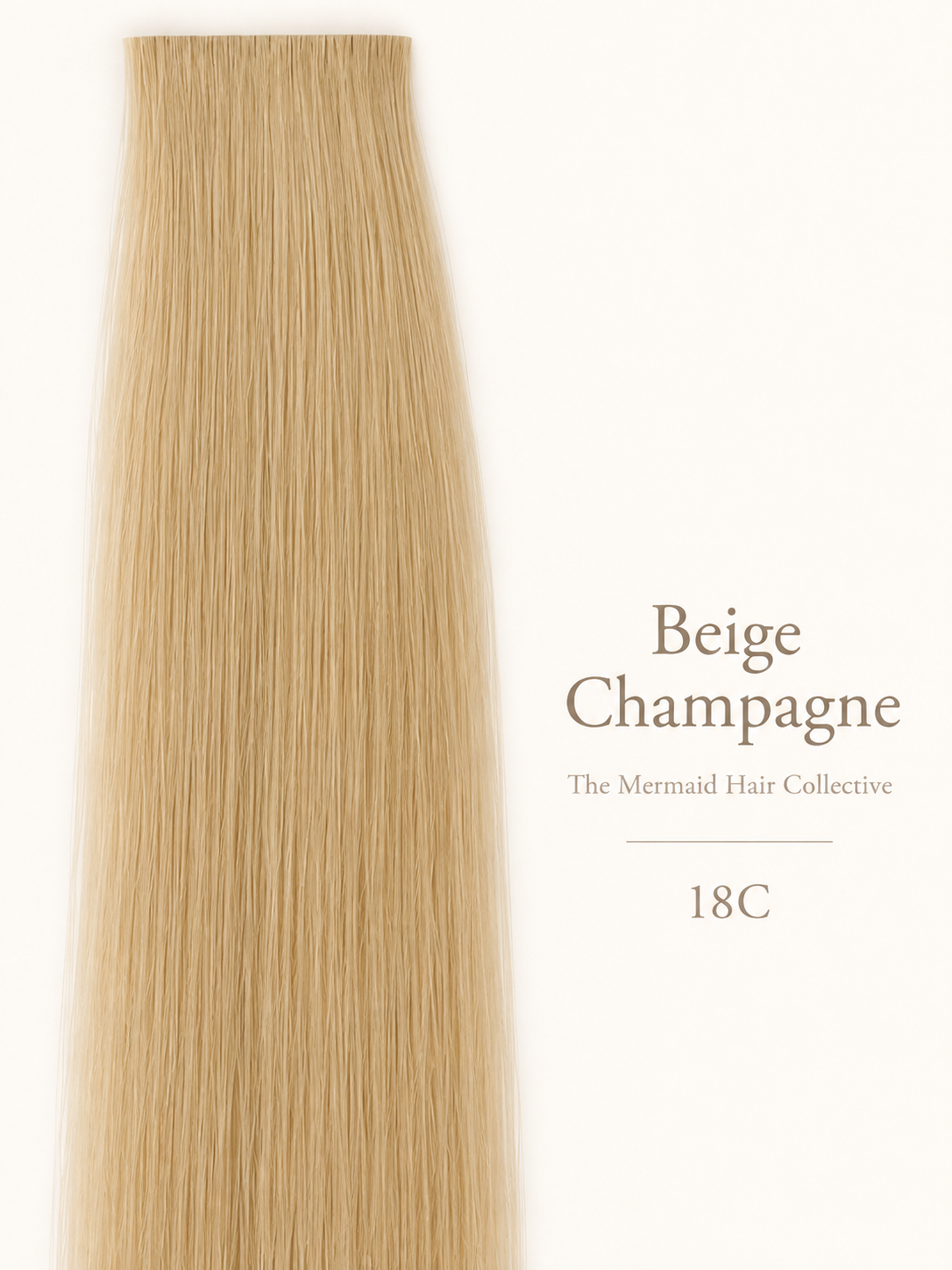 Beige Champagne