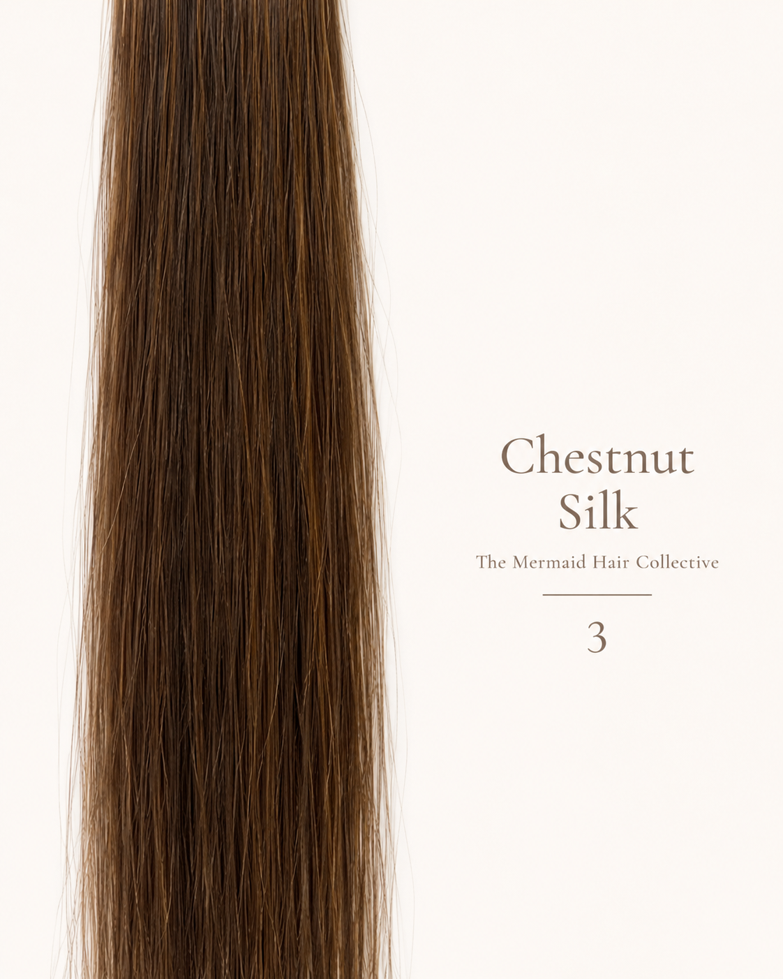 Chestnut Silk