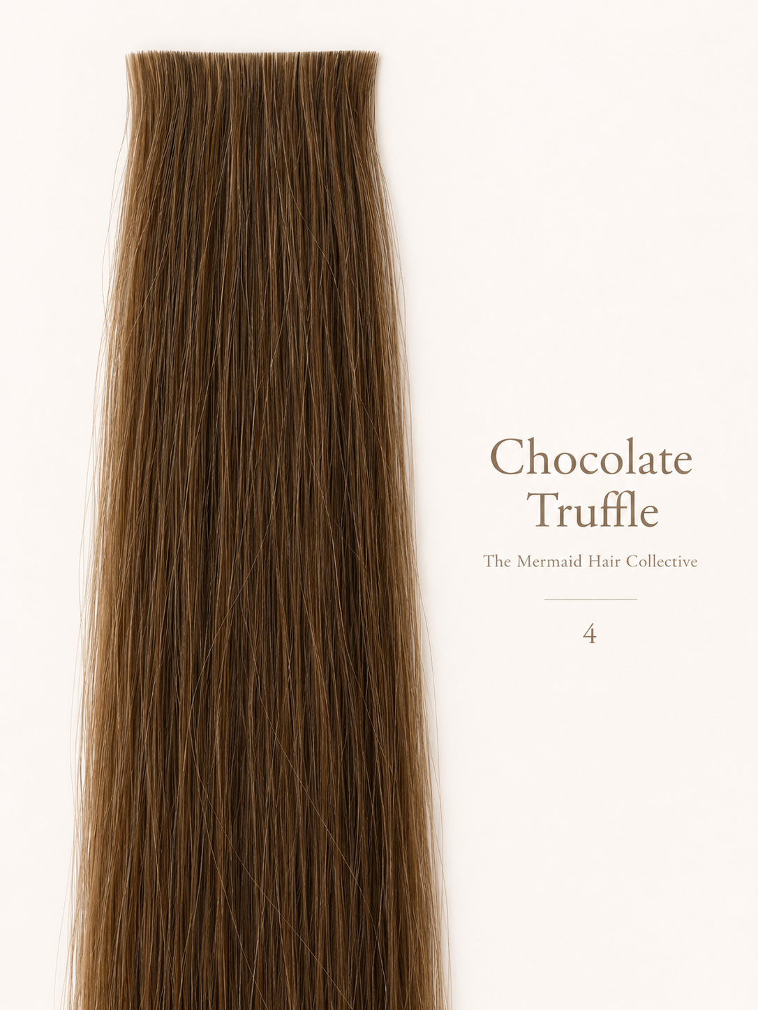 Chocolate Truffle