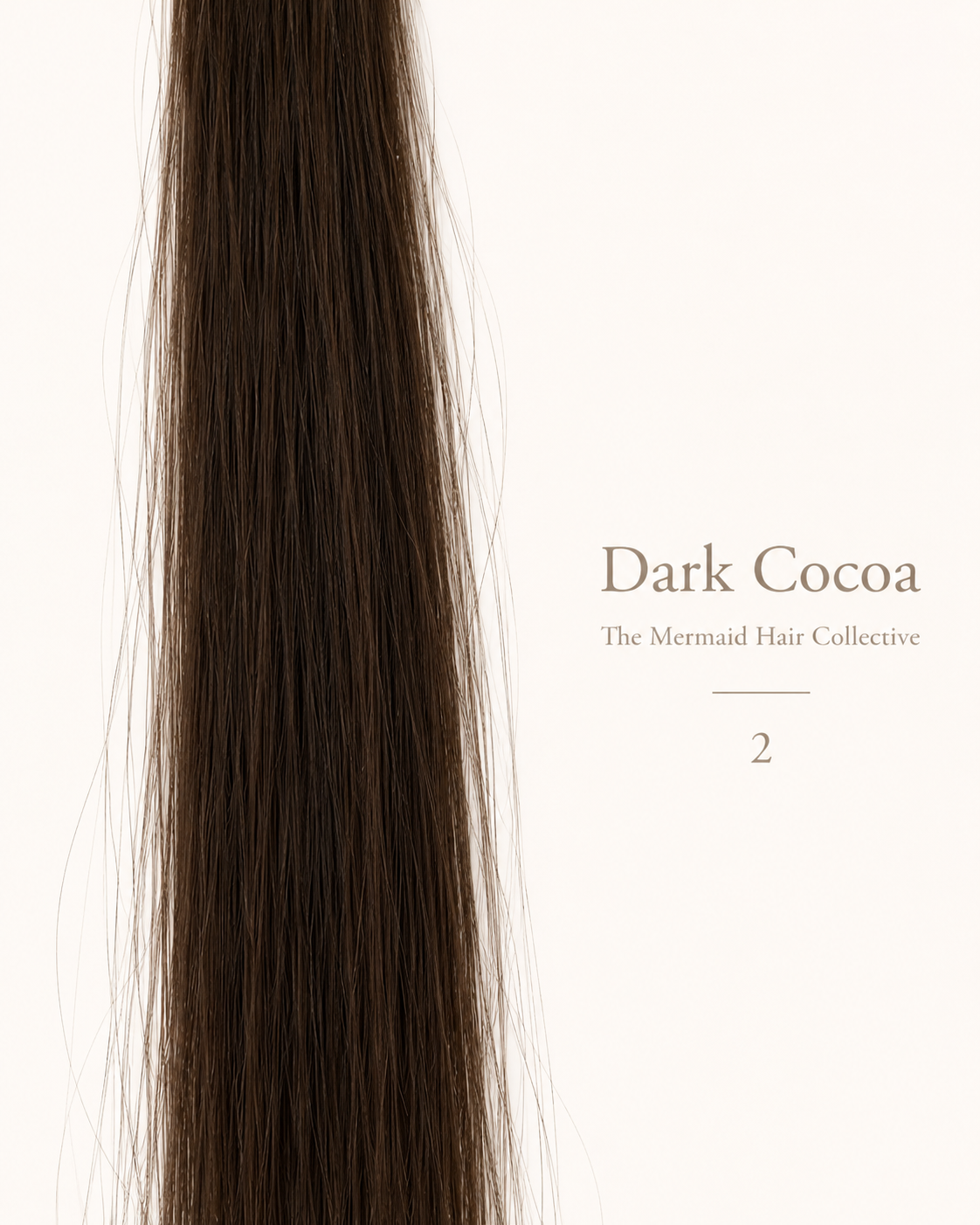 Dark Cocoa