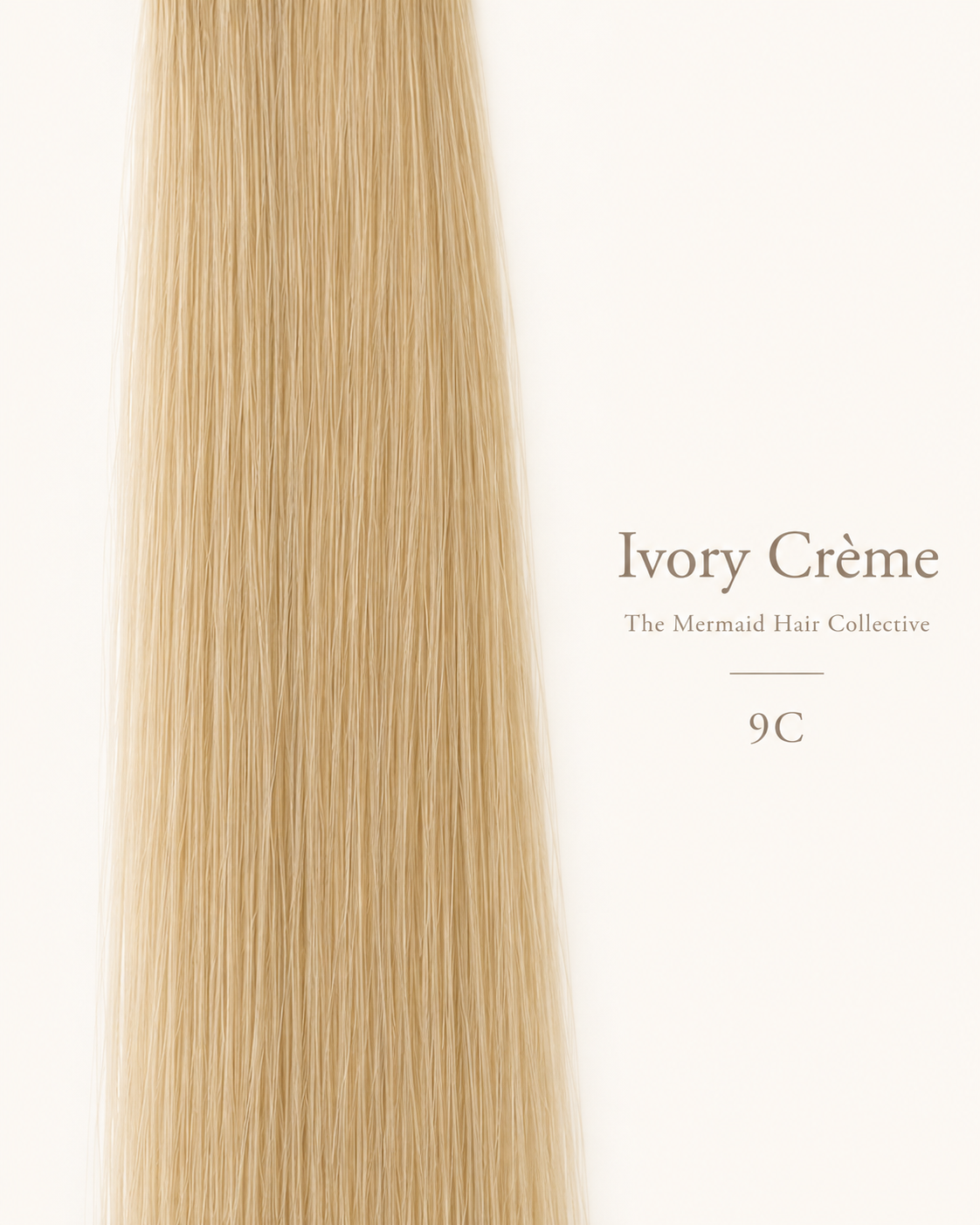 Ivory Crème