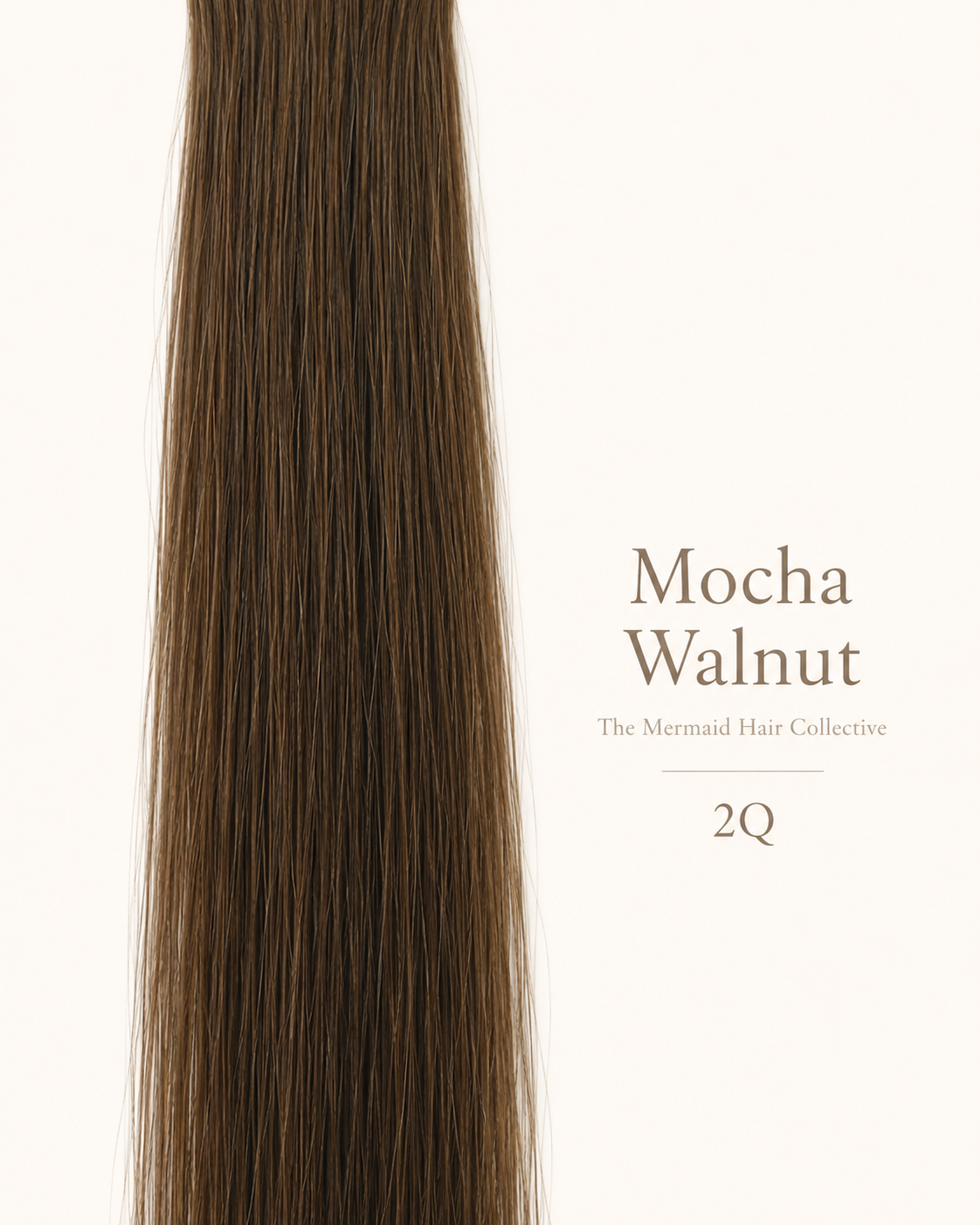 Mocha Walnut