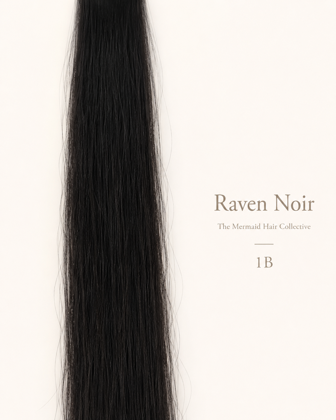 Raven Noir