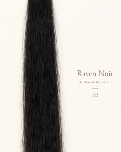 Raven Noir