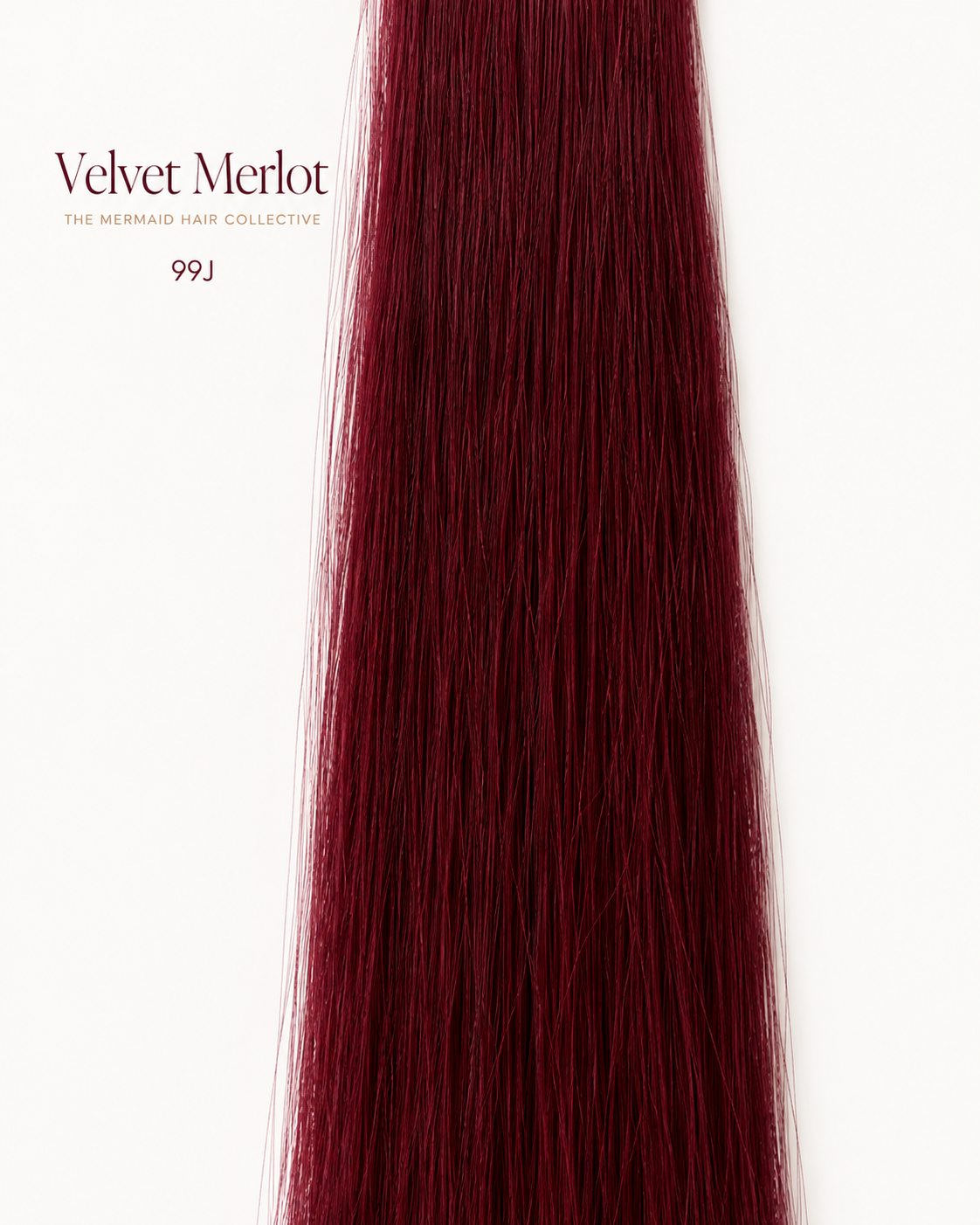 Velvet Merlot